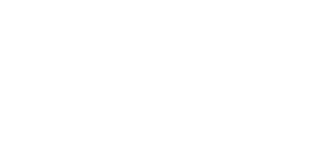 form-logo-white